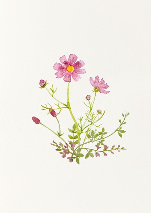 A finished Watercolor Posy card with hand-painted cosmos flowers